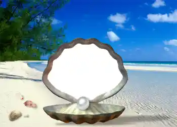 Fotografický efekt z kategorie Leto № 1111 Fotografický efekt z kategorie Leto № 1111