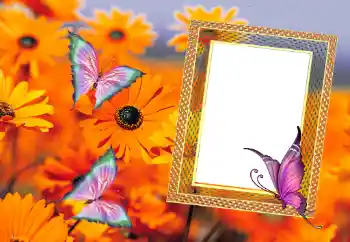 Fotografický efekt z kategorie Leto № 112111 Fotografický efekt z kategorie Leto № 112111