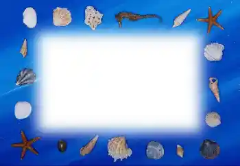 Fotografický efekt z kategorie Leto № 113121 Fotografický efekt z kategorie Leto № 113121