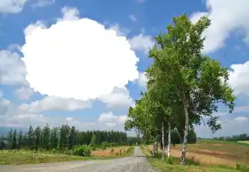 Fotografický efekt z kategorie Leto № 114245 Fotografický efekt z kategorie Leto № 114245