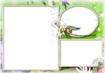 Fotografický efekt z kategorie Leto № 114273 Fotografický efekt z kategorie Leto № 114273