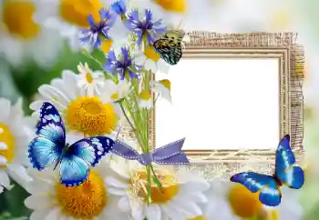 Fotografický efekt z kategorie Leto № 114393 Fotografický efekt z kategorie Leto № 114393