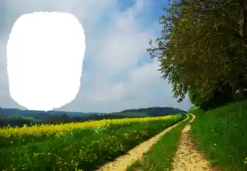 Fotografický efekt z kategorie Leto № 114551