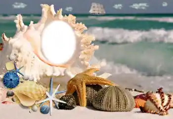 Fotografický efekt z kategorie Leto № 115806