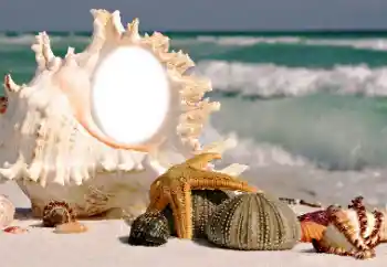 Fotografický efekt z kategorie Leto № 116085