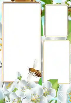 Fotografický efekt z kategorie Leto № 116125