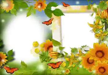 Fotografický efekt z kategorie Leto № 116126