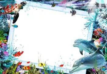 Fotografický efekt z kategorie Leto № 121106