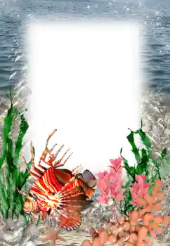 Fotografický efekt z kategorie Leto № 121109