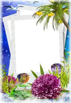 Fotografický efekt z kategorie Leto № 124280