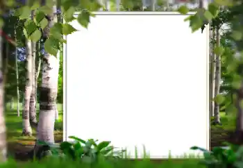 Fotografický efekt z kategorie Leto № 128567