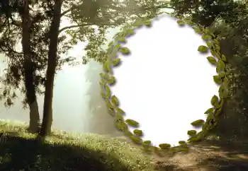 Fotografický efekt z kategorie Leto № 130985 Fotografický efekt z kategorie Leto № 130985