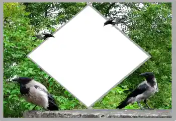 Fotografický efekt z kategorie Leto № 131476 Fotografický efekt z kategorie Leto № 131476