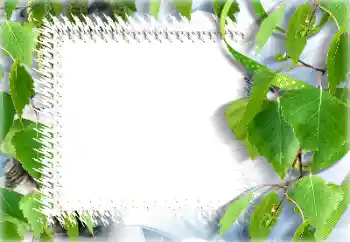 Fotografický efekt z kategorie Leto № 132911