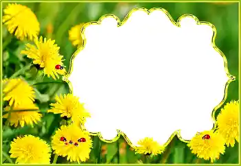 Fotografický efekt z kategorie Leto № 132994