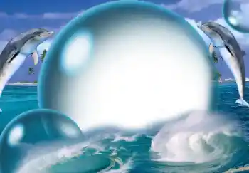 Fotografický efekt z kategorie Leto № 138513