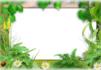 Fotografický efekt z kategorie Leto № 138647