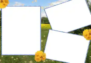 Fotografický efekt z kategorie Leto № 13915