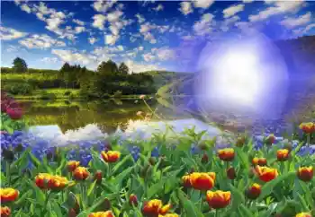 Fotografický efekt z kategorie Leto № 13960