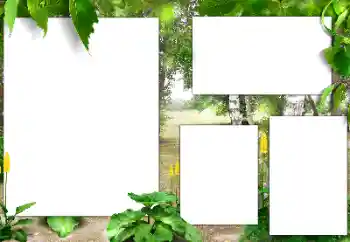 Fotografický efekt z kategorie Leto № 141163