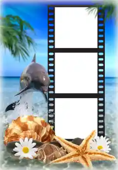 Fotografický efekt z kategorie Leto № 142225