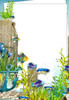 Fotografický efekt z kategorie Leto № 142303