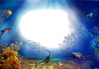 Fotografický efekt z kategorie Leto № 142470 Fotografický efekt z kategorie Leto № 142470