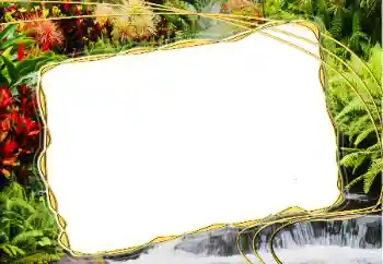 Fotografický efekt z kategorie Leto № 14917 Fotografický efekt z kategorie Leto № 14917