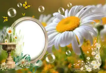 Fotografický efekt z kategorie Leto № 153157 Fotografický efekt z kategorie Leto № 153157