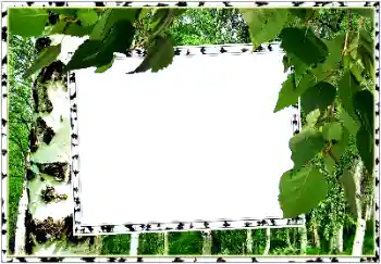 Fotografický efekt z kategorie Leto № 154334 Fotografický efekt z kategorie Leto № 154334