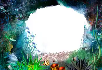 Fotografický efekt z kategorie Leto № 155944 Fotografický efekt z kategorie Leto № 155944