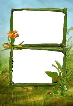 Fotografický efekt z kategorie Leto № 160630 Fotografický efekt z kategorie Leto № 160630