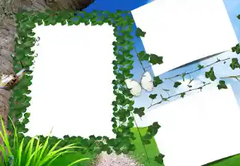 Fotografický efekt z kategorie Leto № 160662 Fotografický efekt z kategorie Leto № 160662