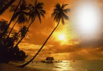 Fotografický efekt z kategorie Leto № 164793 Fotografický efekt z kategorie Leto № 164793