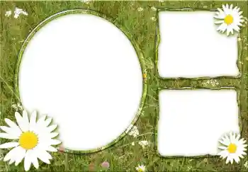 Fotografický efekt z kategorie Leto № 166475 Fotografický efekt z kategorie Leto № 166475