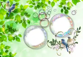 Fotografický efekt z kategorie Leto № 167832 Fotografický efekt z kategorie Leto № 167832