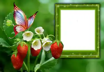 Fotografický efekt z kategorie Leto № 168002 Fotografický efekt z kategorie Leto № 168002