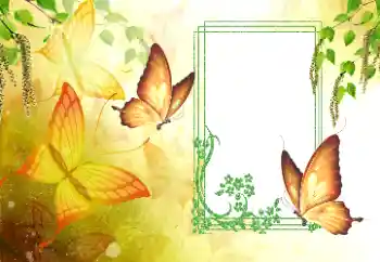 Fotografický efekt z kategorie Leto № 179561 Fotografický efekt z kategorie Leto № 179561