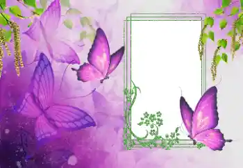 Fotografický efekt z kategorie Leto № 179562 Fotografický efekt z kategorie Leto № 179562