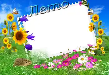 Nápis na rámečku: Leto Nápis na rámečku: Leto