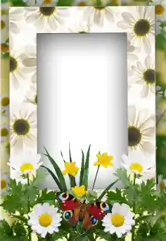 Fotografický efekt z kategorie Leto № 19247 Fotografický efekt z kategorie Leto № 19247