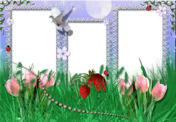 Fotografický efekt z kategorie Leto № 2396 Fotografický efekt z kategorie Leto № 2396