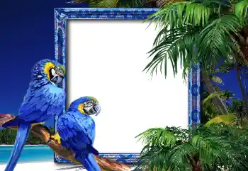 Fotografický efekt z kategorie Leto № 26552