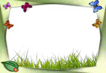 Fotografický efekt z kategorie Leto № 2756 Fotografický efekt z kategorie Leto № 2756