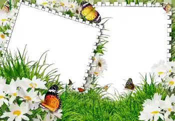 Fotografický efekt z kategorie Leto № 31861 Fotografický efekt z kategorie Leto № 31861