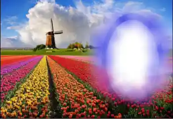 Fotografický efekt z kategorie Leto № 36251 Fotografický efekt z kategorie Leto № 36251