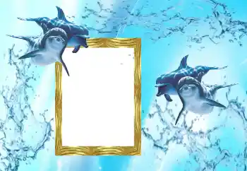 Fotografický efekt z kategorie Leto № 38603 Fotografický efekt z kategorie Leto № 38603