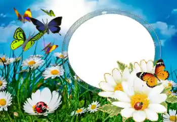 Fotografický efekt z kategorie Leto № 40377 Fotografický efekt z kategorie Leto № 40377