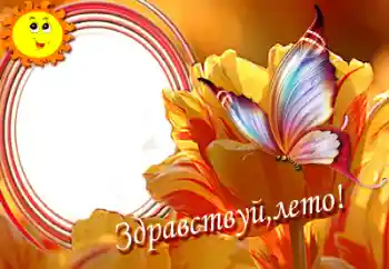 Nápis na rámečku: Hello summer! Nápis na rámečku: Hello summer!