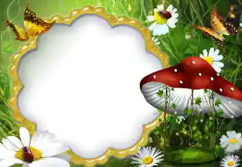 Fotografický efekt z kategorie Leto № 5072